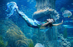 VinWonders Nha Trang Ticket