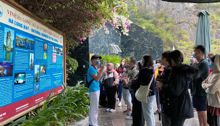 Halong Bay UNESCO Site Full-Day Cruise with Kayaking