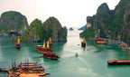 Halong Bay UNESCO Site Full-Day Cruise with Kayaking