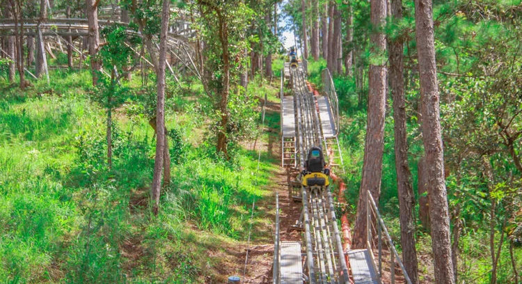 Datanla New Alpine Coaster Experience in Da Lat