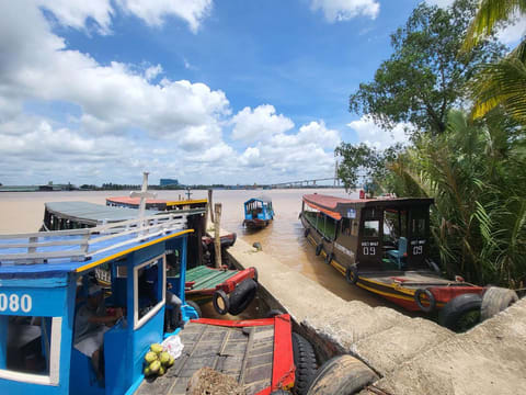 Cu Chi Tunnels & Mekong Delta Day Tour with Deluxe Transfer Option