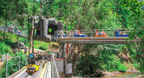 Datanla New Alpine Coaster Experience in Da Lat